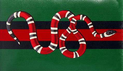 what species of snake is the gucci snake|why does gucci use snake.